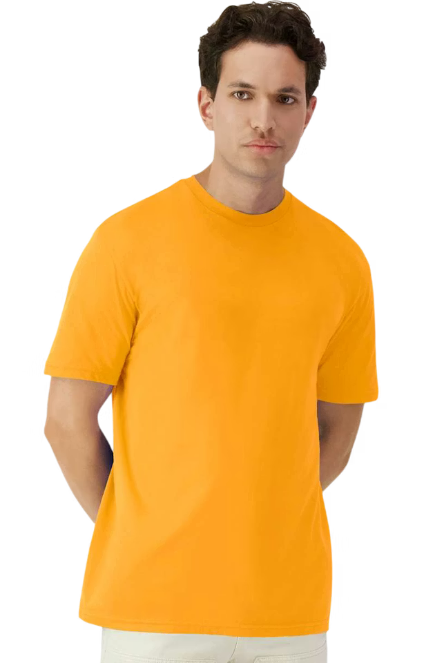 Adult T-Shirt Gildan 5000